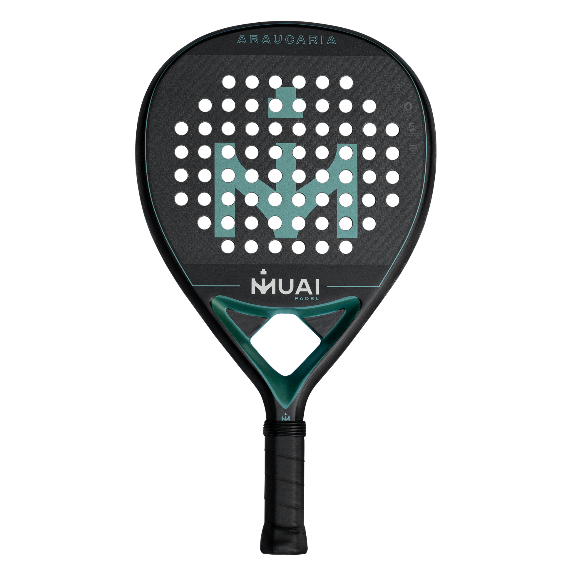 PALA-DE-PADEL-ARAUCARIA