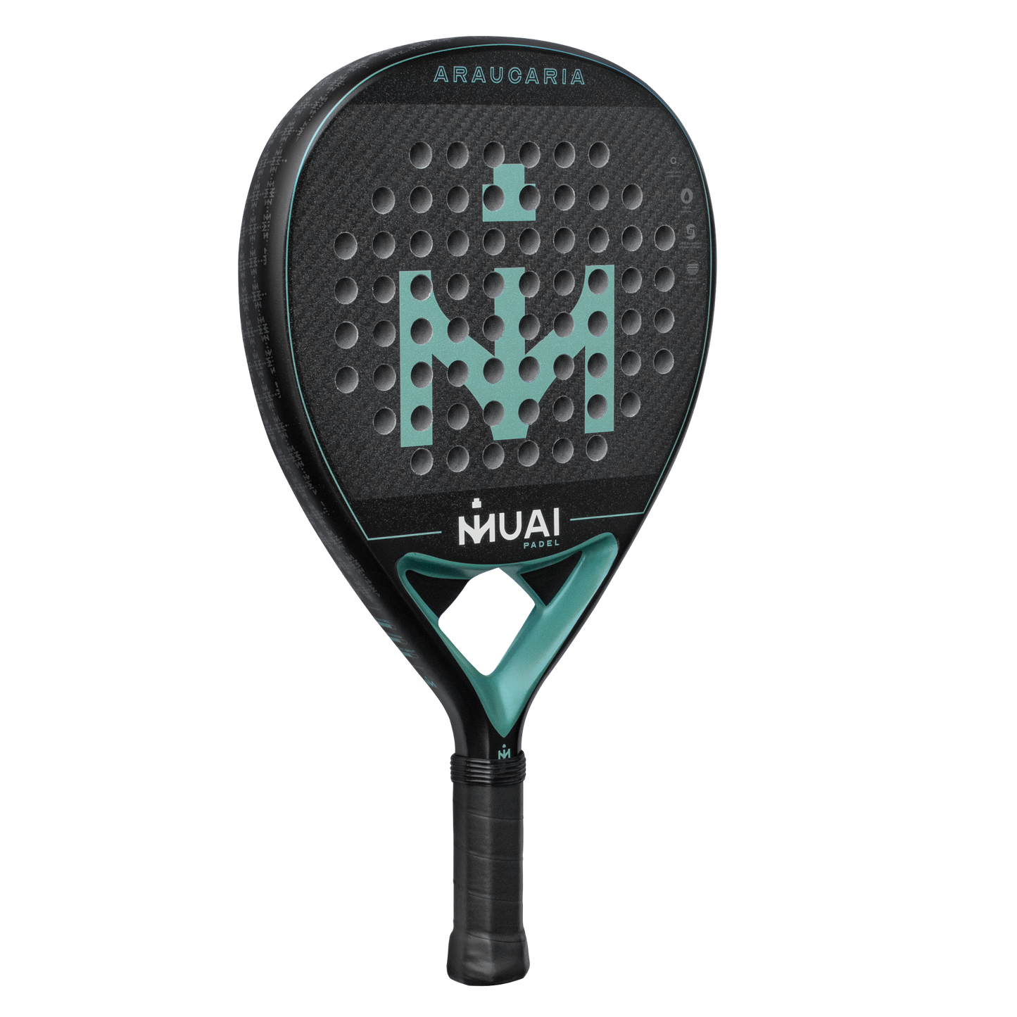 PALA-DE-PADEL-ARAUCARIA3