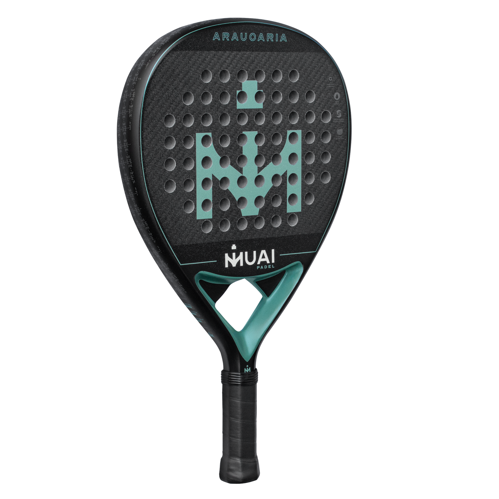 PALA-DE-PADEL-ARAUCARIA3